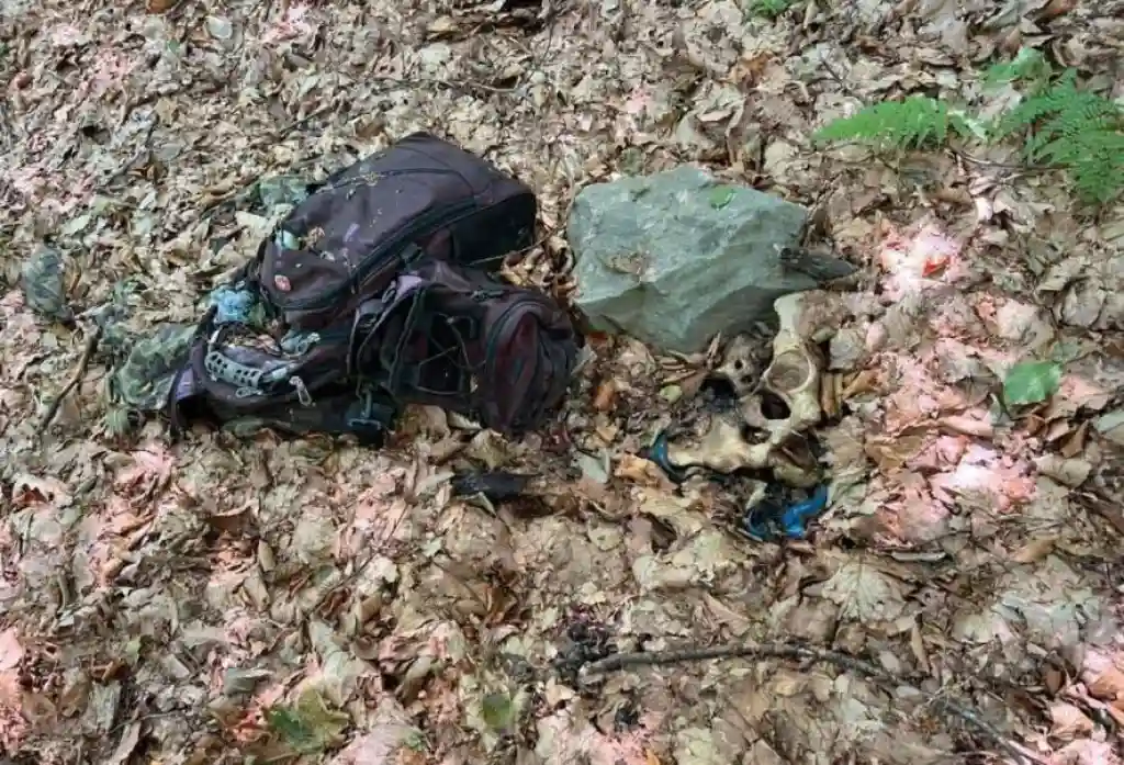 На кордоні в Карпатах знайдено рештки двох людей: прикордонники повідомили подробиці