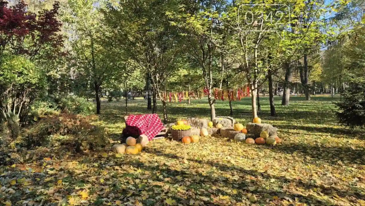 Осіння магія в центрі Франківська: у міському парку облаштували затишну фотолокацію