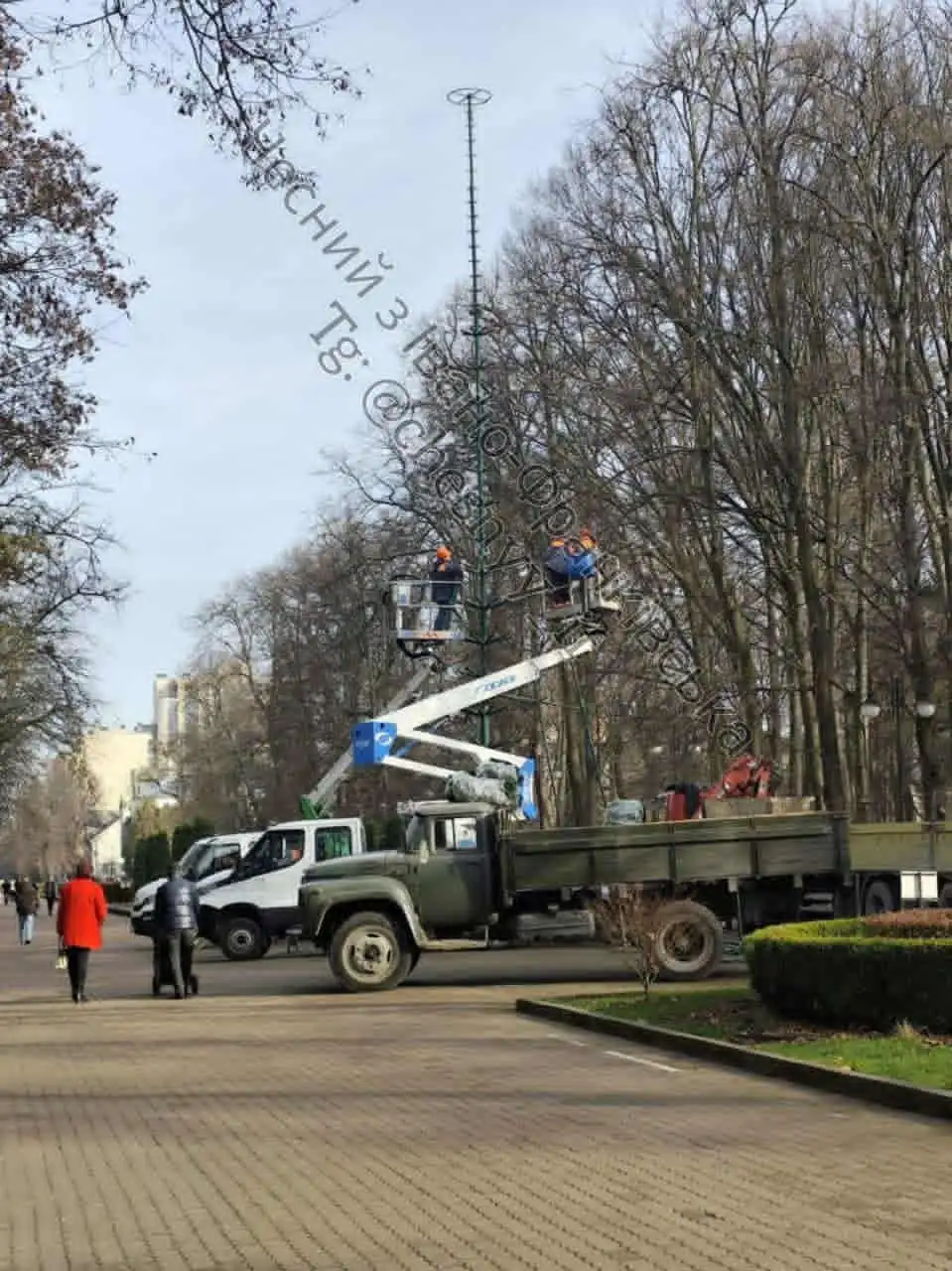 У парку Шевченка в Івано-Франківську розпочали монтаж ялинки та підготовку ярмарку