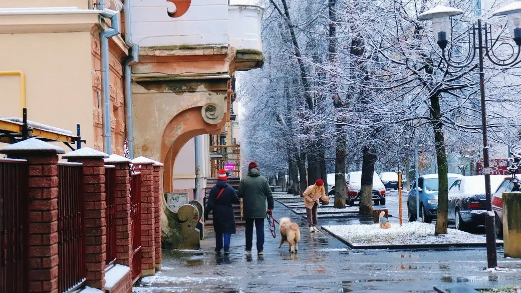Перший день зими на Прикарпатті: туманний ранок і м’яке тепло вдень