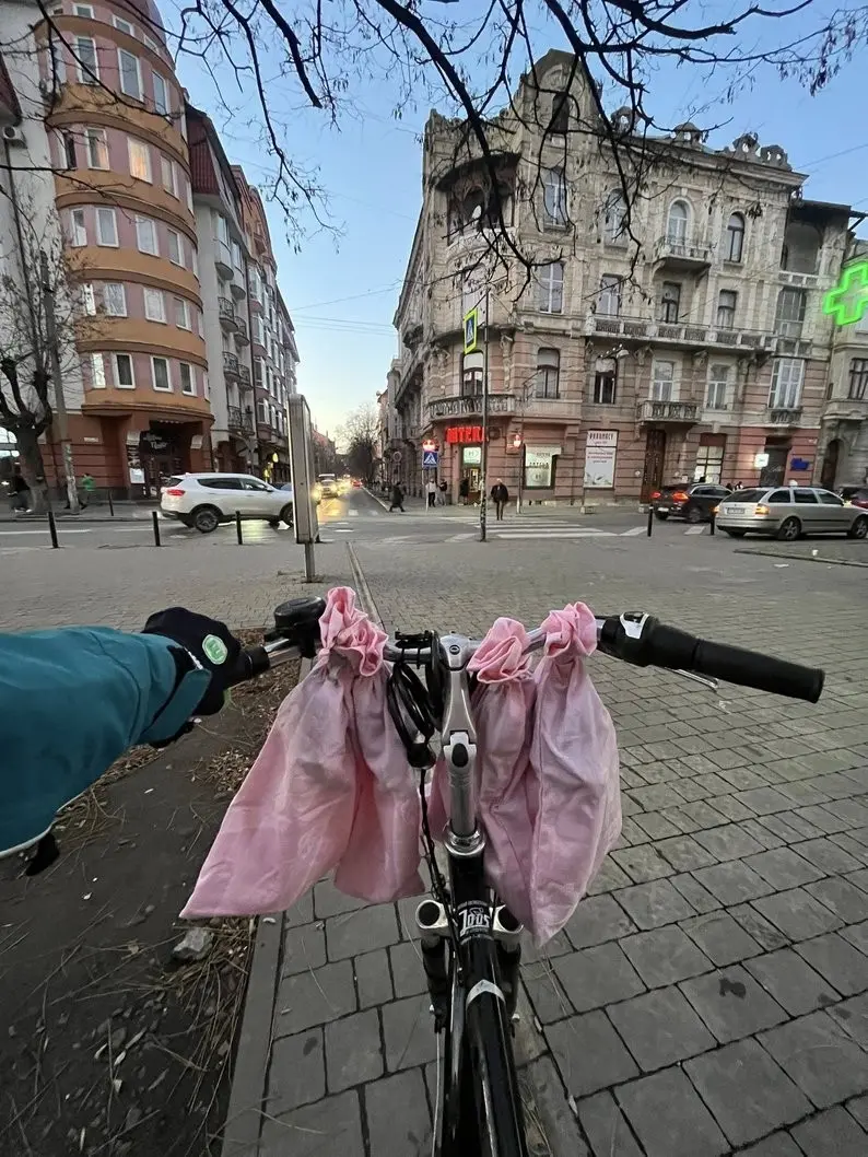У Франківську врятували колонію кажанів, що зимувала під вікном дев’ятиповерхівки