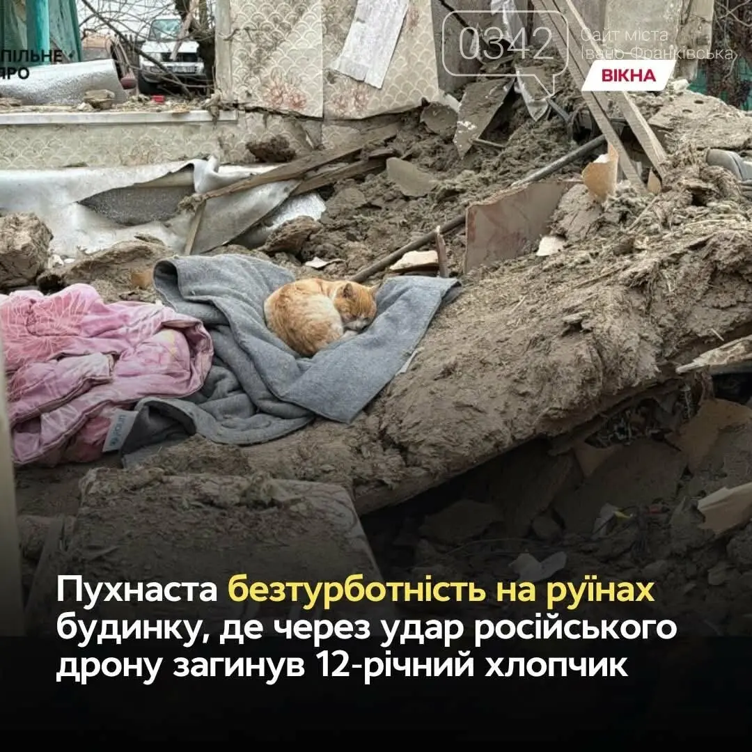 Кіт на згарищі: мовчазне прощання на місці загибелі дитини