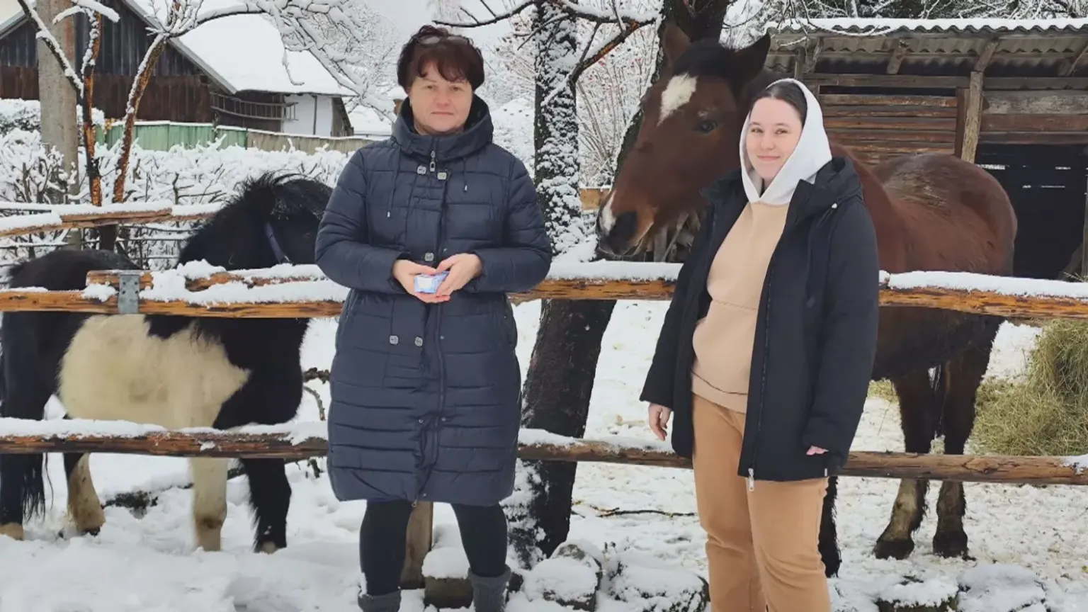 Врятувати кожного: родина із Запоріжжя перевезла на Прикарпаття 23 улюбленці і почала нове життя