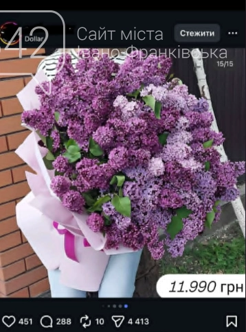 Сезонний дефіцит чи абсурд: українців шокували цінники на бузок у 12 тисяч гривень