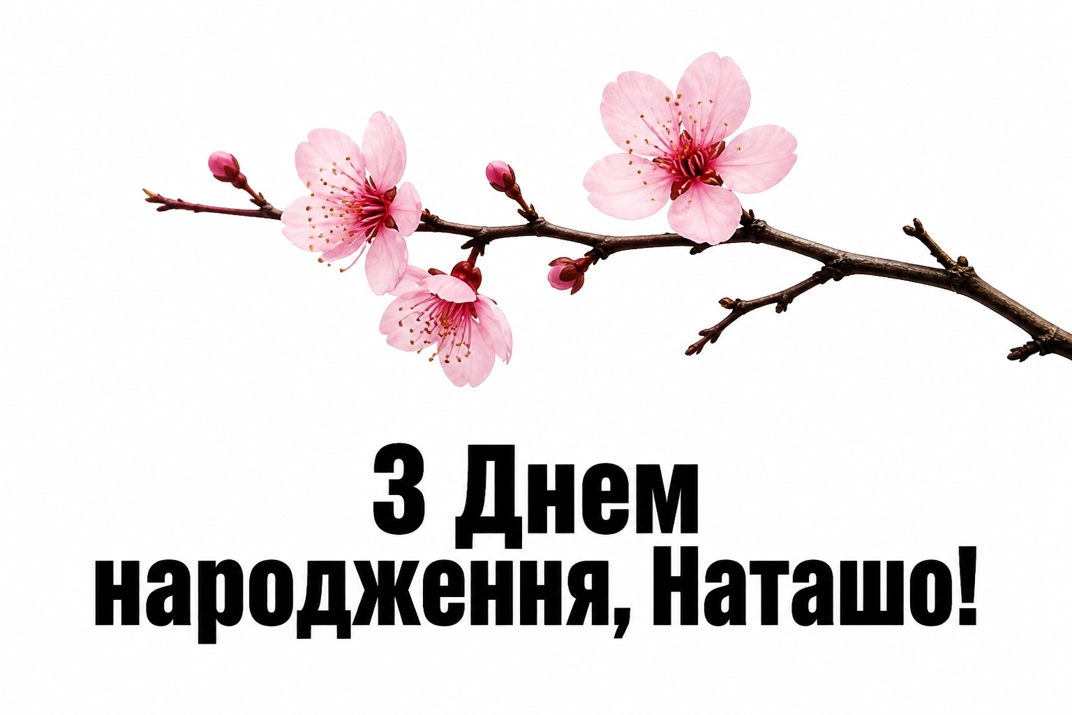 з днем народження наташа