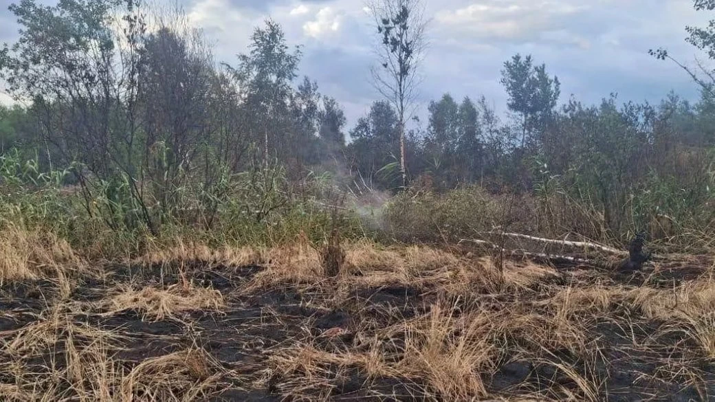 П’ять діб запеклої боротьби під землею: на Франківщині ліквідували небезпечну торф’яну пожежу